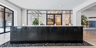 Formation Gallery 24