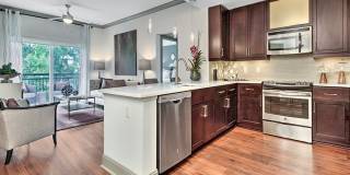 The Encore SouthPark Gallery 1