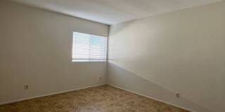 1055 Georgia Street Gallery 19