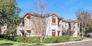 10728 Sabre Hill Dr 10728 Sabre Hill Dr Gallery 1