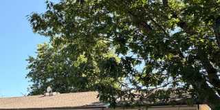 (917) 27th Street Duplex - 2 Bedroom / 1 Bathroom - Albany Duplex ***PET FRIENDLY Gallery 1
