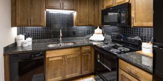 Cortland 3131 Gallery 2