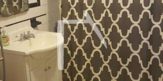 Beautiful 3 Bed/ 1 Bath Available 9/1/26 Gallery 5