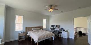 2546 Hibiscus Street Gallery 1