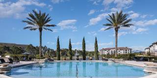 Venetian Isle Gallery 3