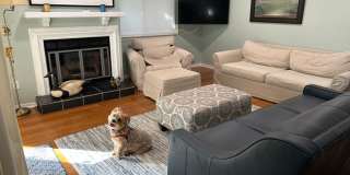 Available 8/1. Beautiful FURNISHED End-Unit Townhome in Central Mt Pleasant! Gallery 4
