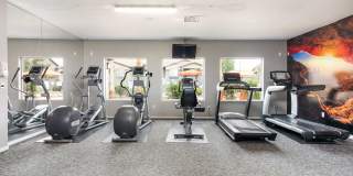 Ventana Canyon Apartments Gallery 33