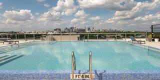 Cortland on Orange Gallery 25