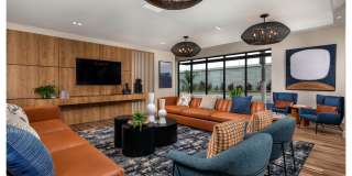 The DeMilo Gallery 19