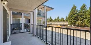 Spring Ridge on Fletcher Apartments Gallery 35
