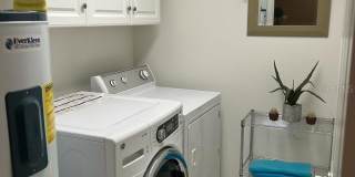 8807 WHITE SAGE LOOP Gallery 18