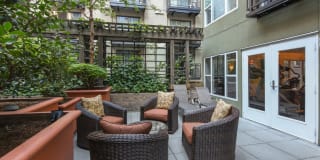 Sidney Sidney Gallery 14