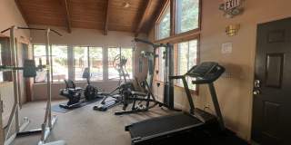 Updated Townhouse backed by National Forest Gallery 40