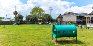 The Lory of Savannah Gallery 12