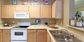 Kensington Square Gallery 20