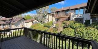 25869 Marguerite Gallery 1