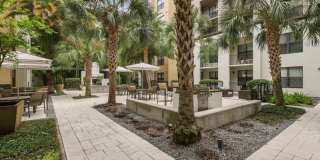 Lantower Westshore Gallery 34