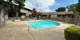 1 Bed 1 Bath Condo In Walnut Creek Gallery 12
