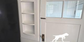 300N16 Gallery 6