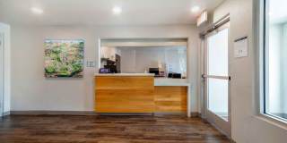 Deerfield Beach Gallery 11