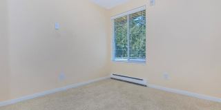 Carrington Gallery 60