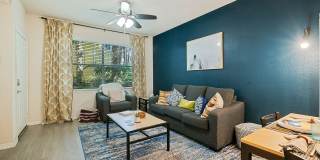 Student Housing - The Verge Orlando Gallery 16