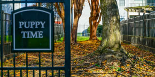 Hampton Center Gallery 7