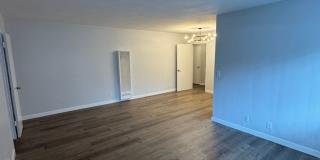 6536LAM Gallery 11