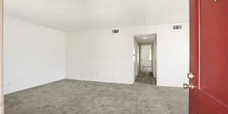 833 Cinnamon Gallery 3