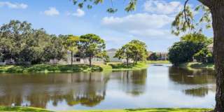 The Morgan Gallery 5