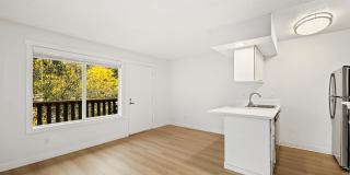 Driftwood Gallery 35