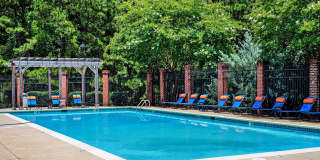 Midsouth 301 Gallery 24