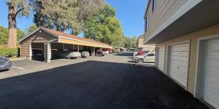 Renovated 2-Bedroom Condo in Martinez Gallery 23