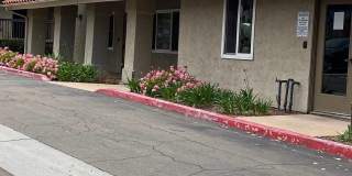 3463 Caminito Sierra #303 3463 Caminito Sierra #303 Gallery 1