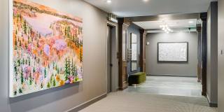 Nolan Mains Gallery 42