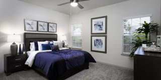 Evergreen Terrace Gallery 9