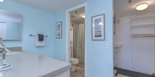 6322 Palma Del Mar Boulevard South#505 Gallery 22