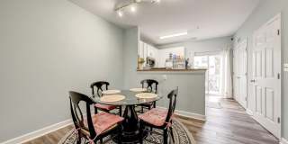 42461 ROCKROSE Square Gallery 13