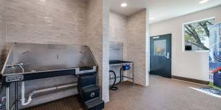 The Waylon Apartments & Townhomes Gallery 38
