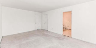 21759 LADYSLIPPER Square Gallery 23