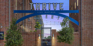 Thrive Argenta Gallery 25