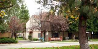 Autumn Leaves Gallery 1