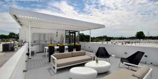 The Harrison Gallery 37