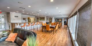 Juniper Springs Gallery 21