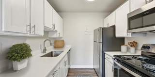 3300 Tamarac 3300 Tamarac Gallery 1