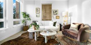 Swell Gallery 1