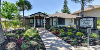 Chardonnay Ridge Gallery 19