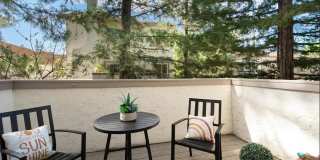 1173 Capri Drive Gallery 44