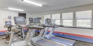 Americana Lakewood Apartments Gallery 4