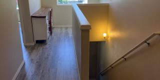Desirable Orchard Lair Neighborhood Gallery 12